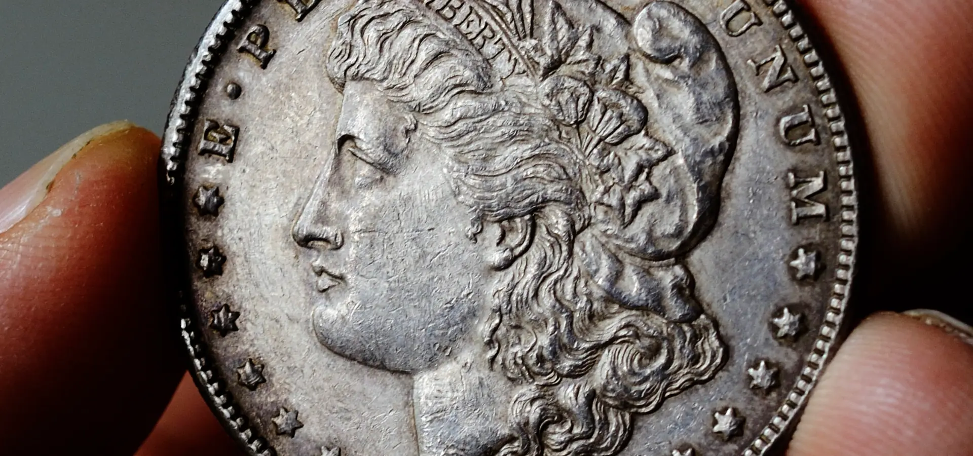 Denver Morgan Dollar Hoard