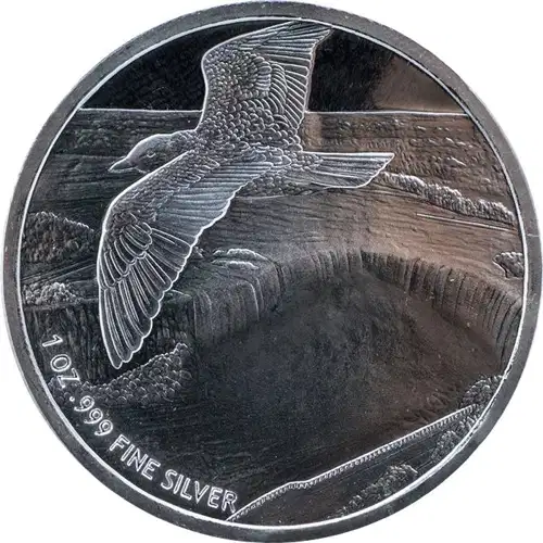 1 oz Niagara Falls - Silver Round (3)