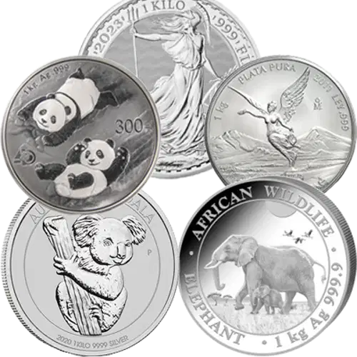 1kg Generic Silver Round (2)