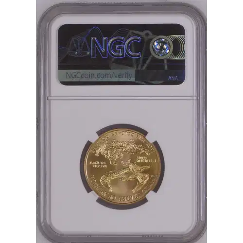 2006 W BURNISHED GOLD EAGLE (3)