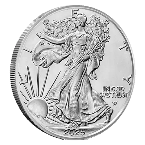 2025 1 oz American Silver Eagle Coin (2)