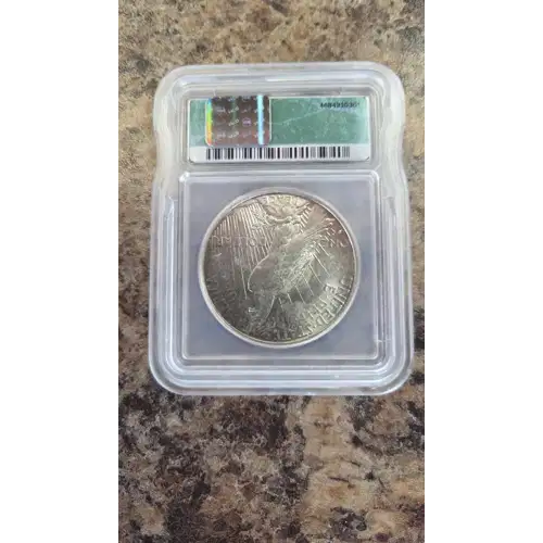 Peace Silver Dollar